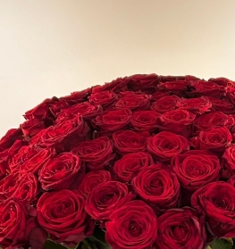 Red Roses Domes 36 ,  48 , 60 and 72 Roses