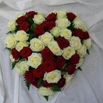 Red and white rose heart
