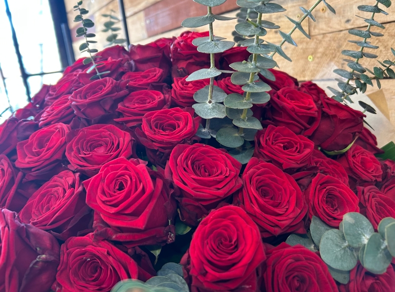 Red Roses Dome Bundle