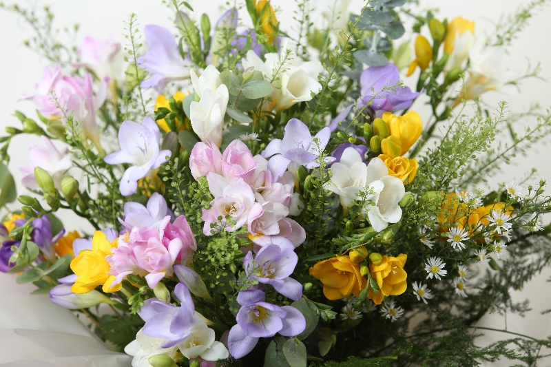 scented freesias in water 