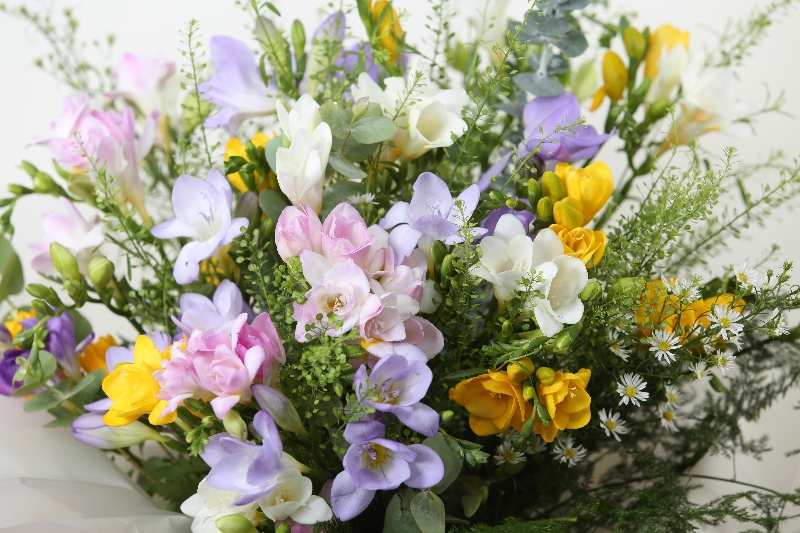 scented freesias in water 