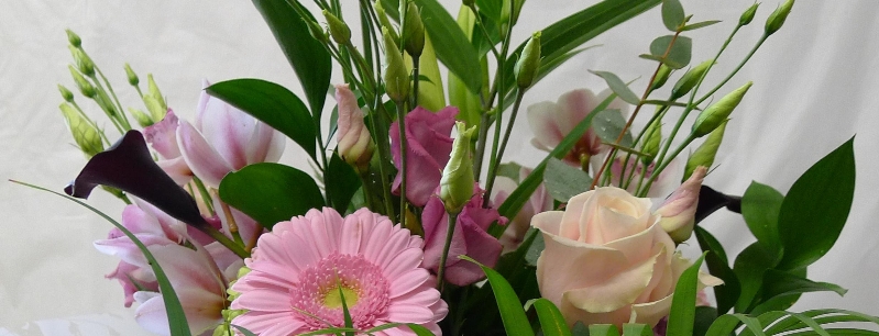 Pretty pink handtied