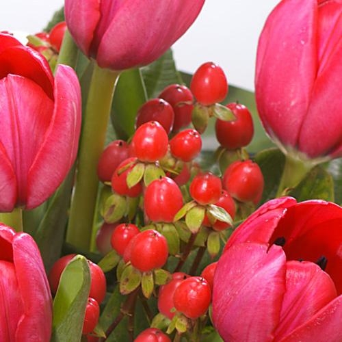 10.   Romantic Tulip Gift Bag