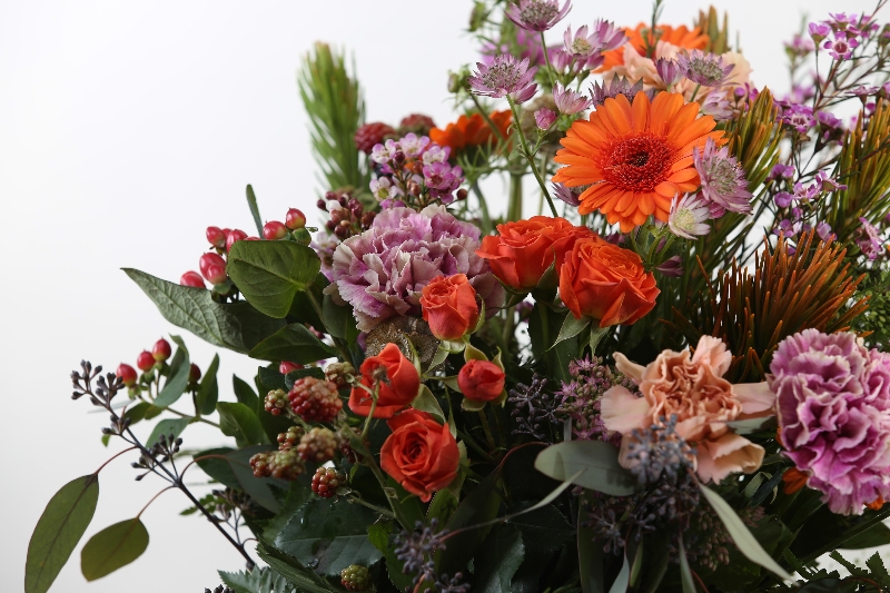 Autumn Lizzies Bundle
