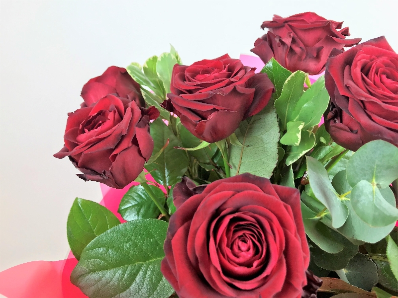 v Lizzies 6 Red Rose Bundle