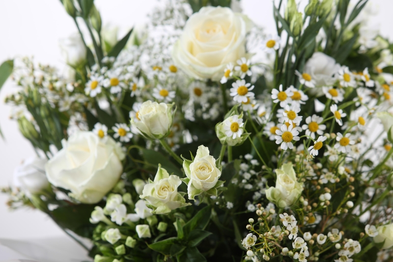 Lizzies White Bundle 30 Stems