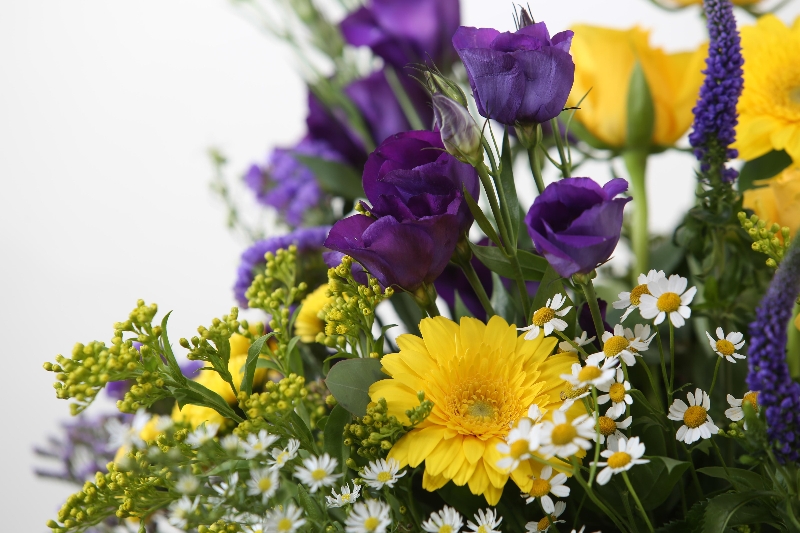 Lizzies Lemon and Purple Bundles 25 stems