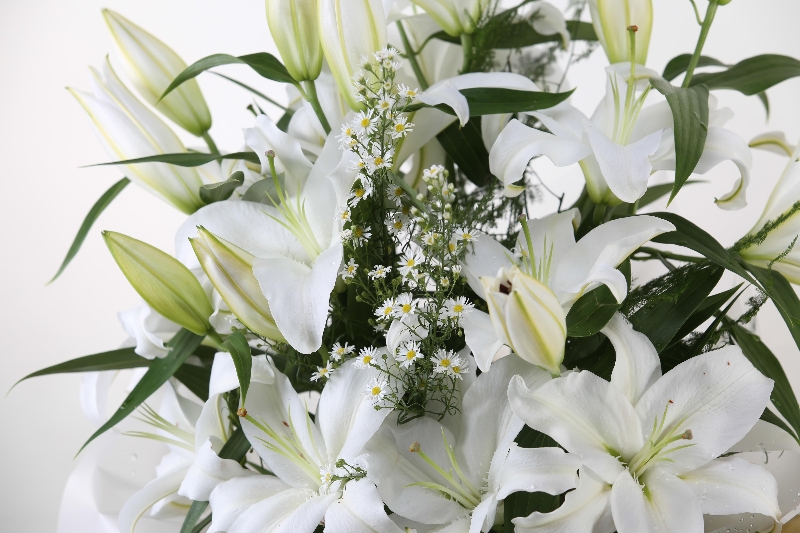 Lizzies White Lily Bundle 13 stems