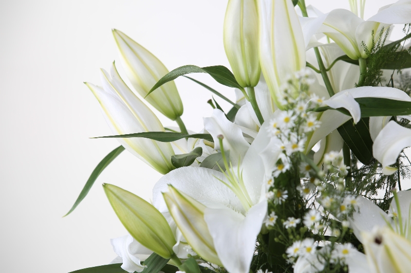 Lizzies White Lily Bundle 13 stems