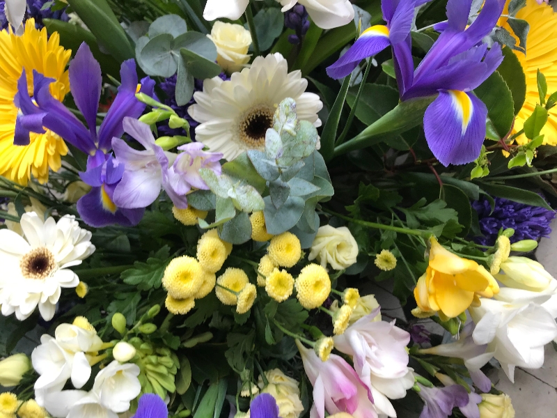 Gerbera and seasonal selection casket spray