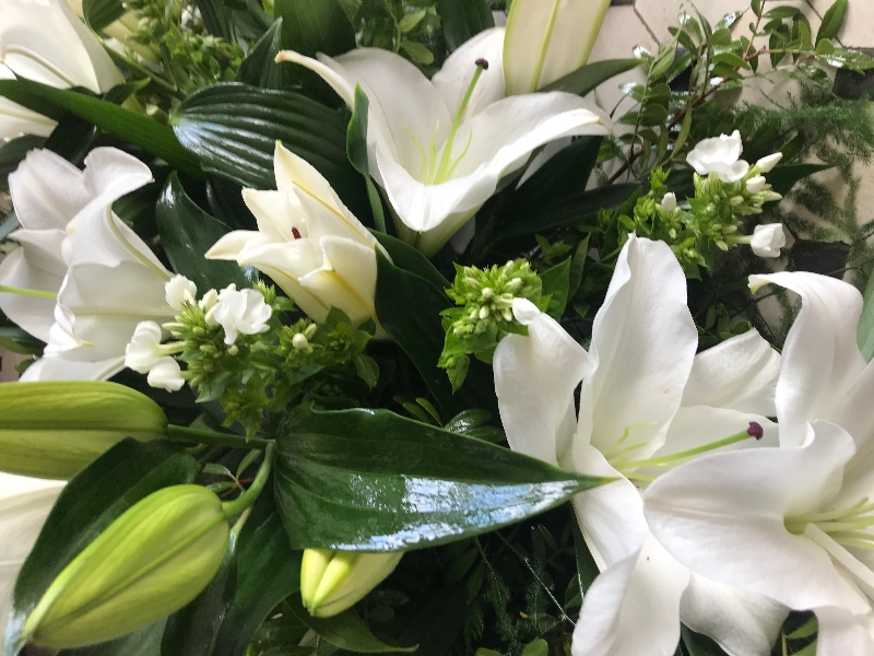 White lily casket spray