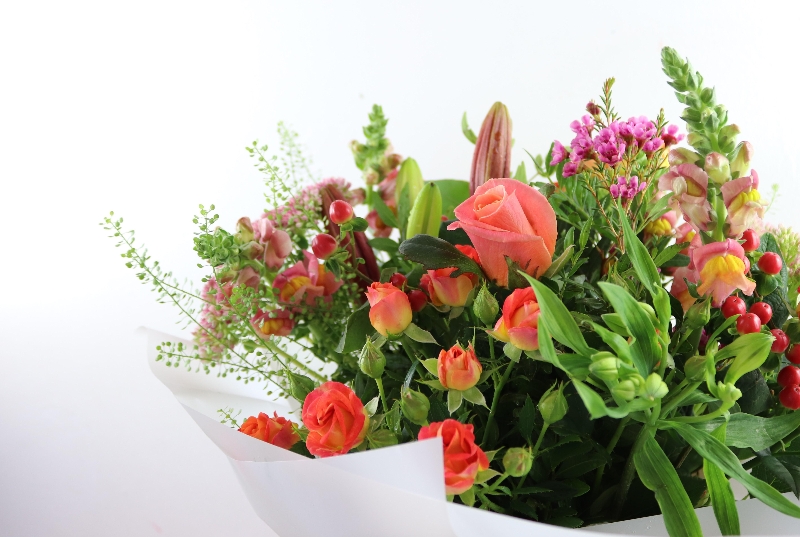 Autumnal Choice Lizzies Bundle