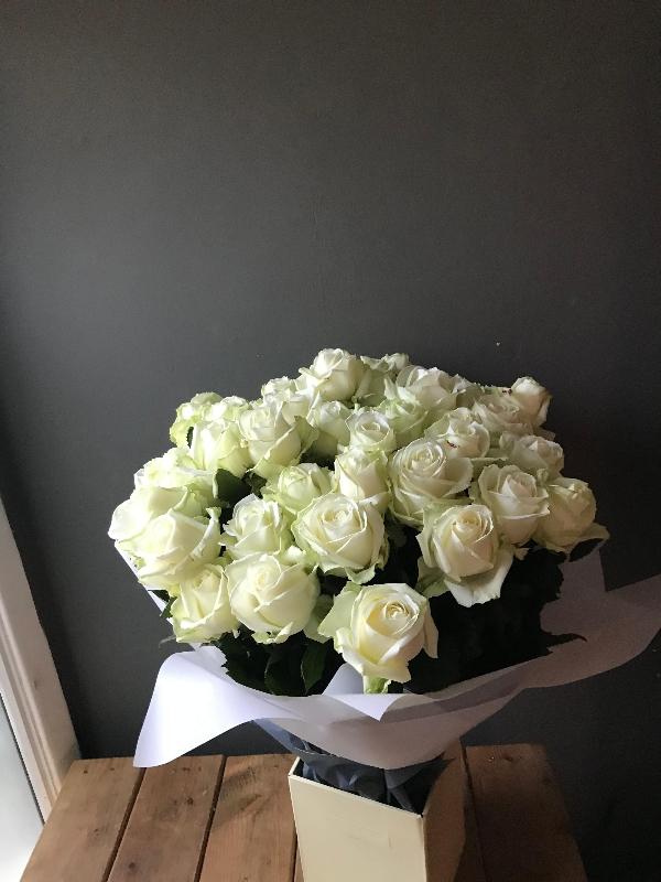 50 White Rose Bundle