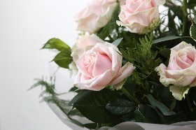 Lizzies Pink Rose Bundle