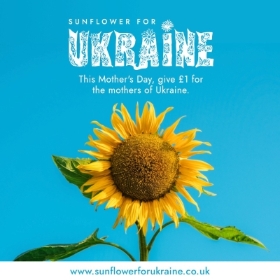 1  SUNFLOWER FOR UKRAINE