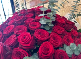 Red Roses Dome Bundle