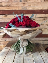 Red Roses Dome Bundle