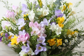 scented freesias in water 