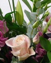 Special Bundle with an orchid