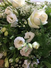 Meadow Casket Spray in Whites