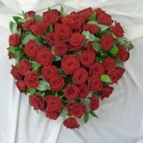 Red rose heart
