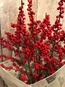 Simply Holly Berries