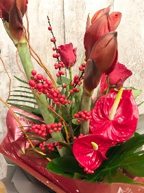 6. Festive Reds Contemporary Bundle