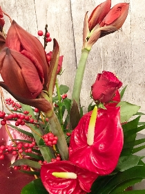 6. Festive Reds Contemporary Bundle