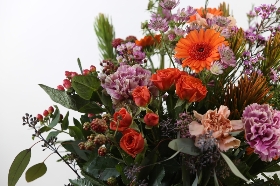 Autumn Lizzies Bundle