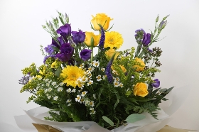 Lemon and Purple Lizzies Bundle