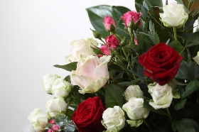 v Lizzies Valentine Mixed Rose Bundle