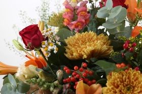 Lizzies Orange and Red Bundle 16 stems