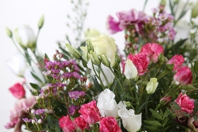 Lizzies Pink and White Bundle 16 stems