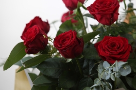 12 Red Rose Bundle