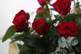 Red Rose Bundle