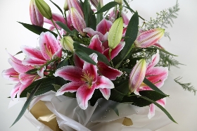 Lizzies Pink Lily Bundle