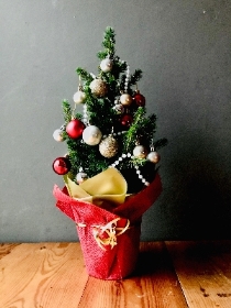 2a. Lizzies Doorstep Christmas Tree includes delivery