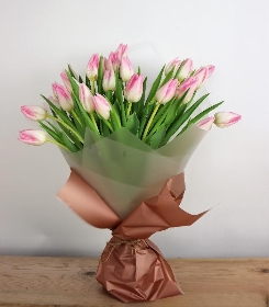 Lizzies Simply Pink Tulip Bundle
