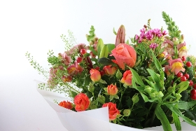 Autumnal Choice Lizzies Bundle