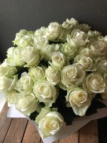 50 White Rose Bundle