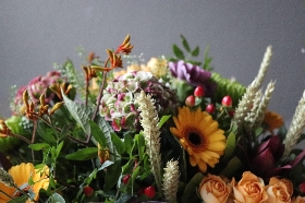 Autumnal textures Lizzies bundle